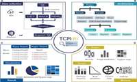 معرفی پایگاه TCRdb