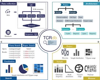 معرفی پایگاه TCRdb
